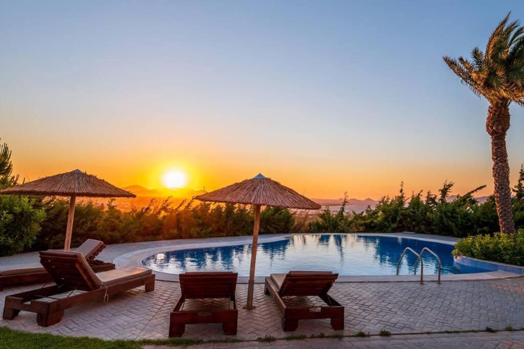Breathtaking View Guesthouse2 帕萨里迪 外观 照片